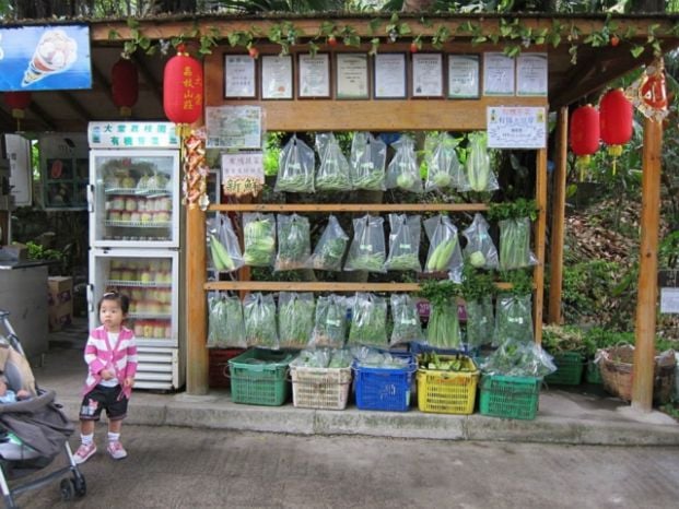 Tai Tong Organic EcoPark